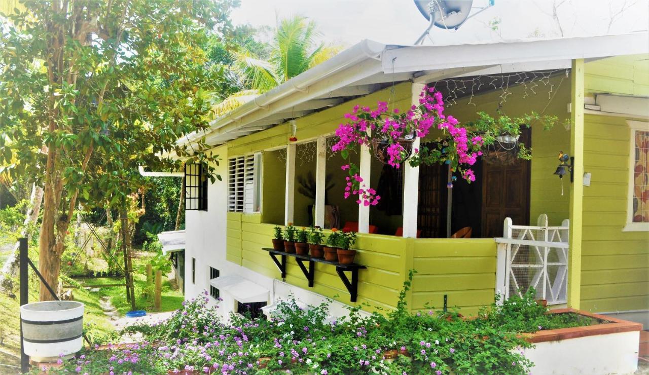 Leatherback Lodge Eco B&B Salybia Luaran gambar