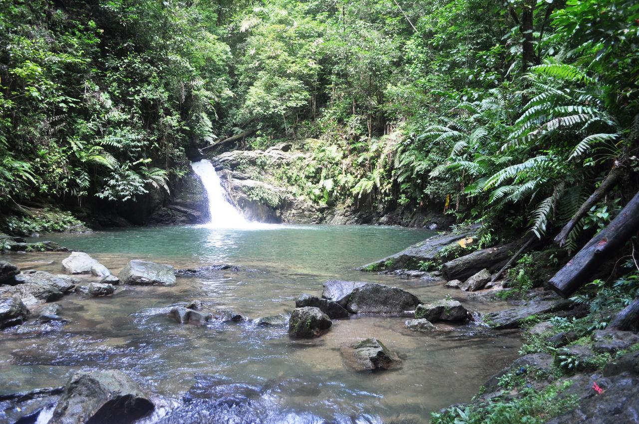 Leatherback Lodge Eco B&B Salybia Luaran gambar
