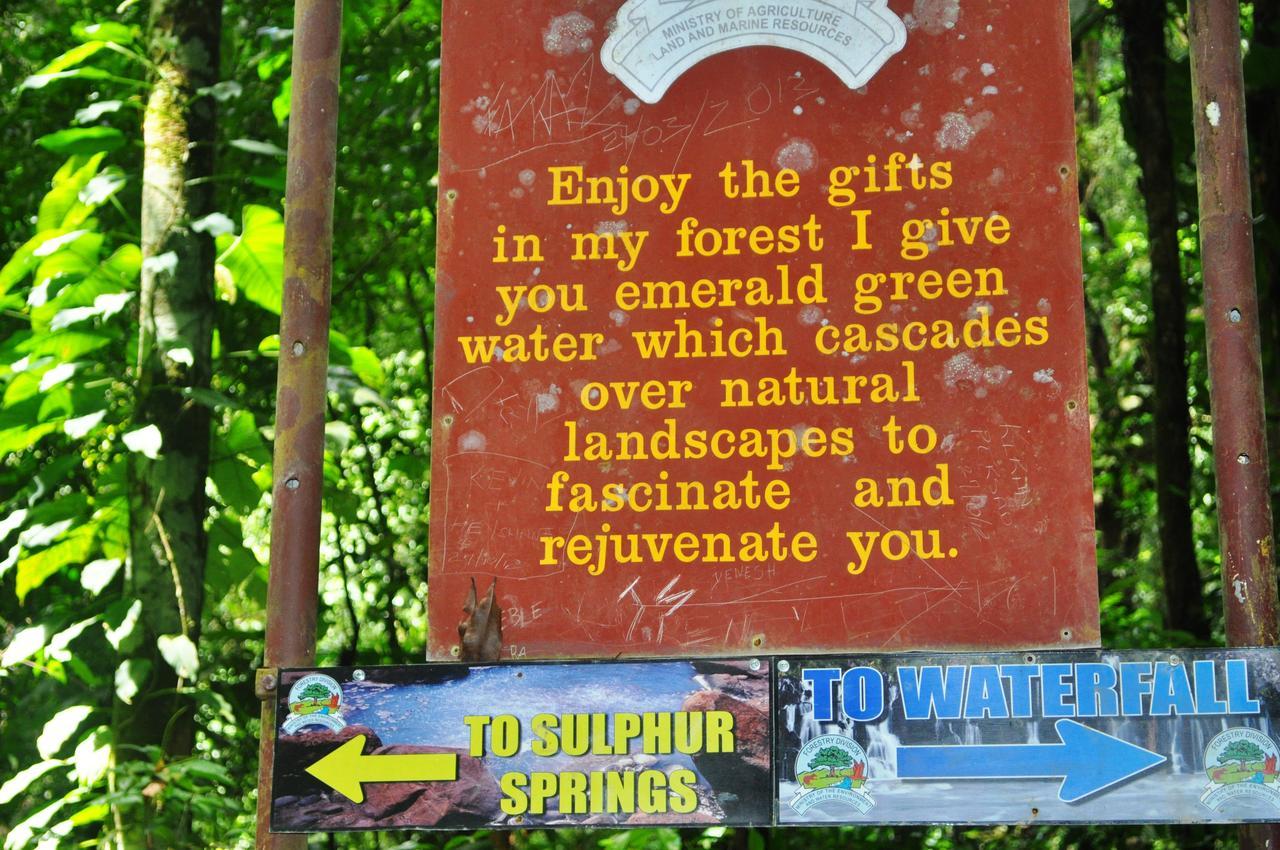 Leatherback Lodge Eco B&B Salybia Luaran gambar