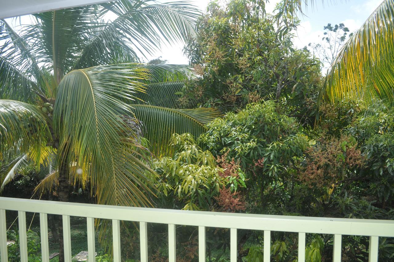 Leatherback Lodge Eco B&B Salybia Luaran gambar