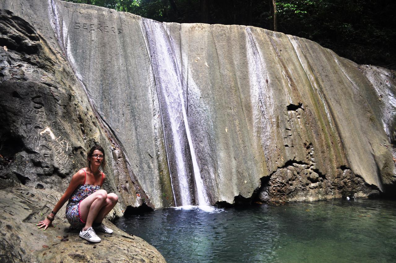 Leatherback Lodge Eco B&B Salybia Luaran gambar
