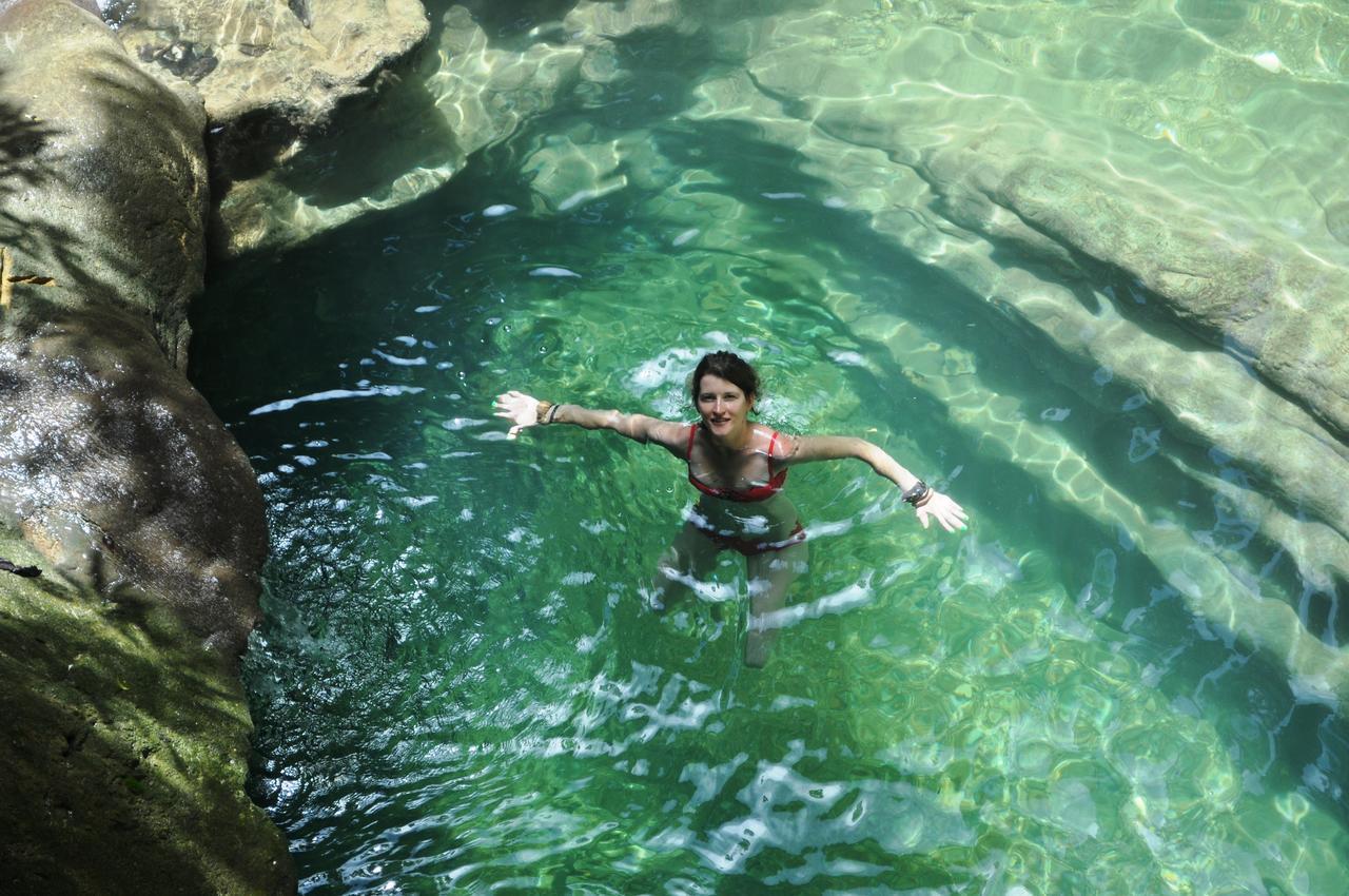 Leatherback Lodge Eco B&B Salybia Luaran gambar