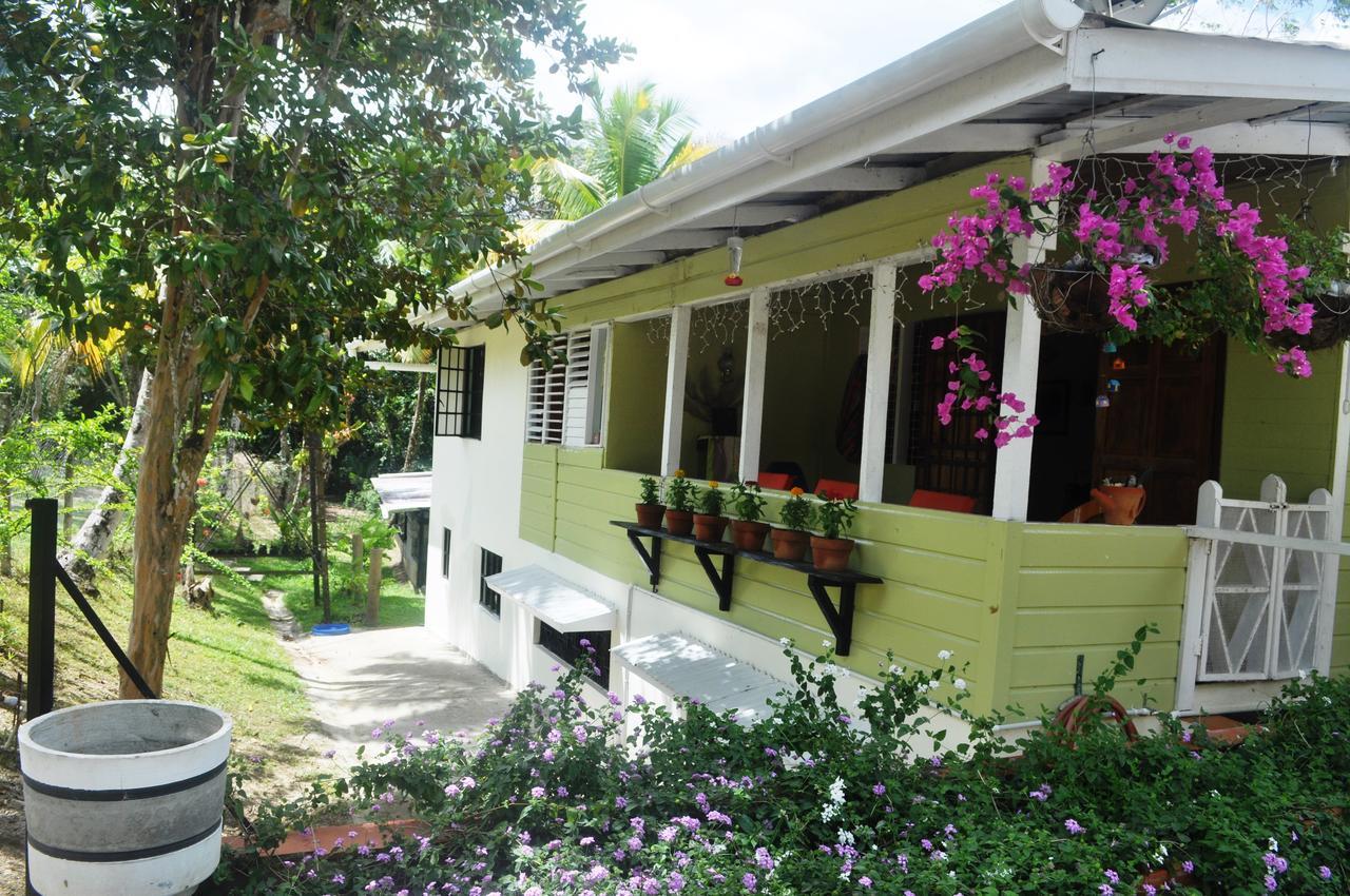 Leatherback Lodge Eco B&B Salybia Luaran gambar