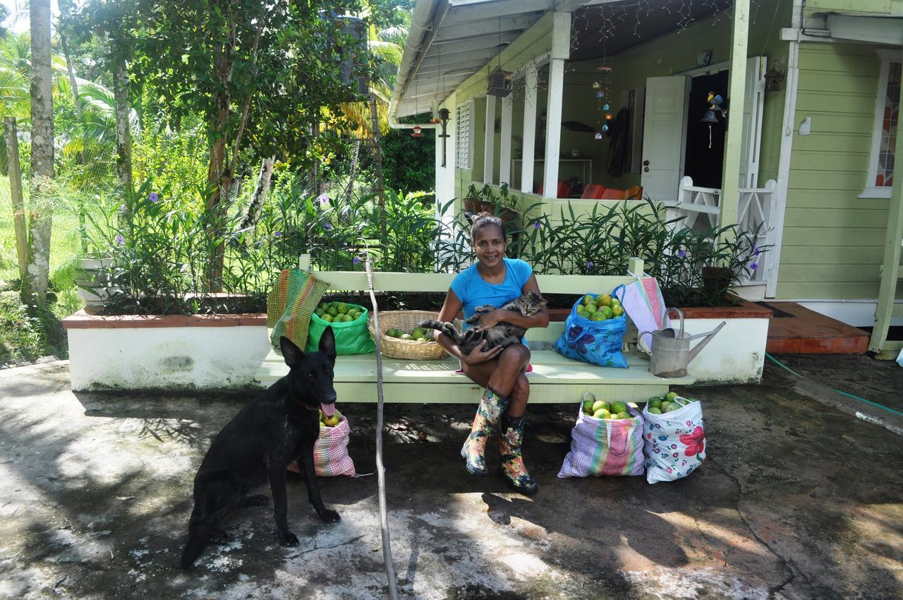 Leatherback Lodge Eco B&B Salybia Luaran gambar
