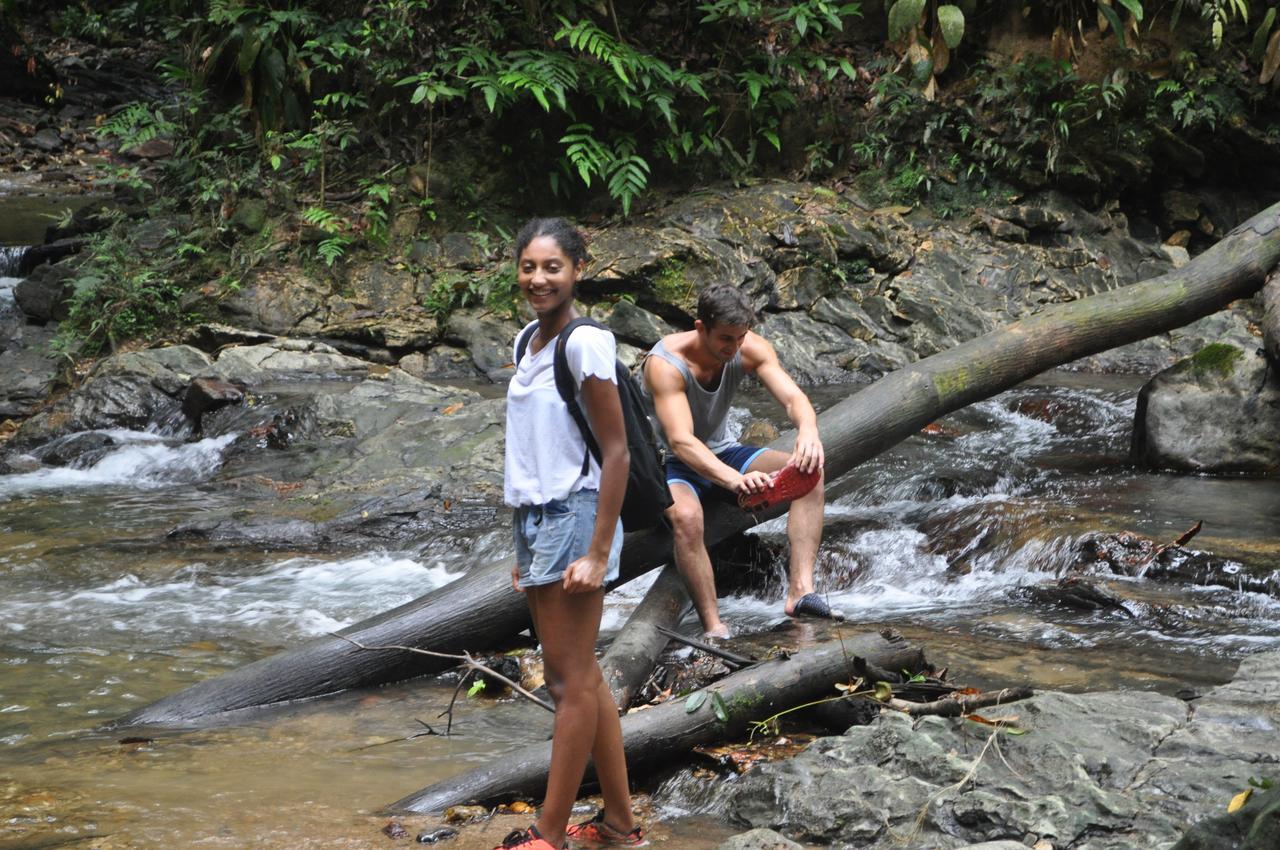 Leatherback Lodge Eco B&B Salybia Luaran gambar